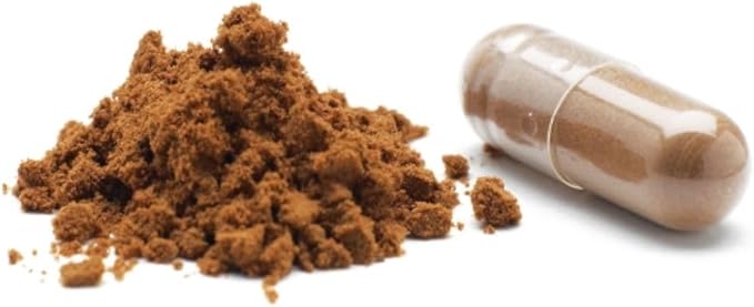 Mikei Red Reishi Mushroom EX (60 Capsules)
