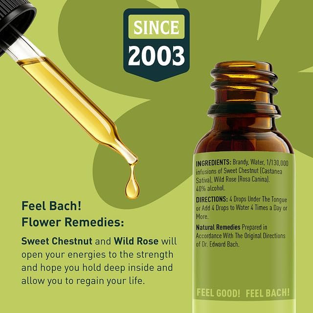 Feel Bach! Get Hope Back Remedy - Natural Homeopathic Flower Essences for Reclaim Life From Deep Despair - Renew & Overcome the Darkness Vegan, Gluten & Sugar-Free, Non-Habit Forming, 20ml (0.7 fl oz)