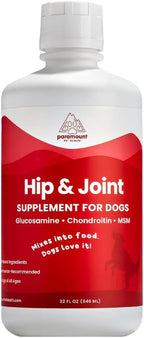 Paramount Pet Health Liquid Glucosamine for Dogs, 1600 mg Glucosamine for Dogs Hip & Joint Supplement, Ideal for Mobility & Comfort, Easy-to-Use Liquid MSM, Chondroitin, Made in USA, 32 oz