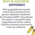GlucodOX AMPK Activator Supplement – AMPK Enzyme, Metabolism Booster, Guggul Supplement for Body Management & Longevity – Vegan Metabolic Support - 30 Day Supply (60 Capsules)