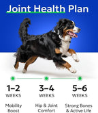 BARK&SPARK Glucosamine Chondroitin Dog Hip & Joint Supplement - Joint Pain Relief - Hip & Joint Chews - Joint Support Large Small Breed - Senior Doggie Vitamin Pill Joint Health (180 Treats - Bacon)