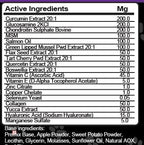 Clean Pets Hip and Joint Supplement Dogs with Glucosamine for Dogs + Chondroitin, Turmeric, Hyaluronic Acid, MSM, Salmon Oil, Collagen, Vitamin C, Omega 3 Senior Dog Supplements Beef Flavor - 1Pack