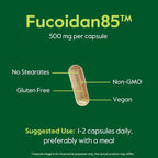 BESTVITE Fucoidan Extract 500mg (Standardized to 85% Fucoidan) (120 Vegetarian Capsules) No Fillers - No Stearates - No Flow Agents