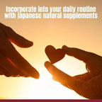 FINE JAPAN Nattokinase 6000FU – Japanese Fermented Natto Enzyme Supplement with Garlic and Vinegar/90 Capsules for 30 Servings/Made in Japan/37.8ｇ(420mg×90tablets)