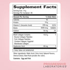 Multi-Type Collagen Powder (Watermelon) – Types I, II, III, V & X for Skin, Hair, Nail & Joint Support – Multi Collagen Supplement With Biotin, Vitamin C & Hyaluronic Acid – Grass-Fed, Non-GMO
