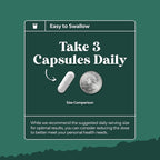 Digestive Enzymes with Ox Bile - Ox Bile Supplements for No Gallbladder with Trypsin, Papain & Bromelain Enzyme for Pancrease Cleanse & Detox - Pancreatin Digestion Enzymes for Women & Men - 90 Ct