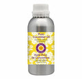 Deve Herbes Pure Cucumber Oil (Cucumis sativus) Cold Pressed 1250ml (42 oz)