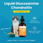 Paramount Pet Health Liquid Glucosamine Chondroitin MSM for Cats, Hip & Joint Support Supplement, Supports Mobility and Flexibility, Senior Cat Liquid Joint Supplement Drops for Daily Care, 2 oz
