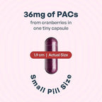 Szio+ Utiva Cranberry PACs – Clinically Studied Ingredients 36mg PACs Extract - UTI Prevention for Women - Urinary Tract Health – Cranberry Supplement Pills for Bladder Health, 30 Vegi Capsules
