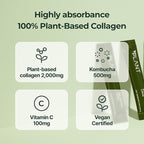 PLANT Vegan Collagen Peptide, Kombucha Powder, Probioitics, Vitamin C | 2000mg Tripeptide Vegetarian Collagen Booster, Dragonfruit Lime |15 Packets, Gut & Skin Health Anti-Aging Hydration Drink Mix
