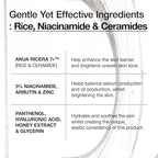 Anua Rice Ceramide 7 Hydrating Barrier Serum, Moisturizing Face Serum, Non-comodogenic, Hyaluronic Acid, Niacinamide, Lightweight, Fragrance Free, Sensitive Dry Skin, Korean Skincare, 1.69 fl oz