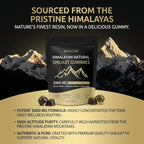 VitacoreHimalayan Shilajit Gummies, Vitadrive Himalayan Natural Shilajit Gummies - Fulvic Acid & Trace Mineral Supplement for Energy & Vitality Support Dietary Supplement - 60 Gummies