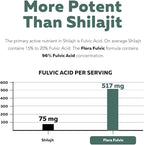 Flora Fulvic | Fulvic Acid + Humic Acid Complex – 550 mg |Mined in Utah, Prehistoric Deep Earth Extract | Immunity, Gut, Digestion – Natural Trace Mineral Complex, Fulvic Acid Supplement – 60 Capsules