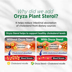 LABO Nutrition CHOLRestore – Red Yeast Rice with Phytosterol Health Supplement, Supports Healthy Cholesterol Levels, Citrinin & Aflatoxin Free, 90 Vege Capsules 3x3