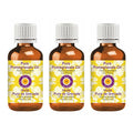 Deve Herbes Pure Pomegranate Oil (Punica granatum) Cold Pressed 100ml X 3 (10 oz)