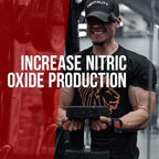 ALPHA LION Gains Candy, Supplement Pills for Muscle Pump & Blood Flow, Nitric Oxide Booster, Supports Mental Focus, Use Daily to Upgrade Workout Performance, 63 Capsules (Nitrosigine)