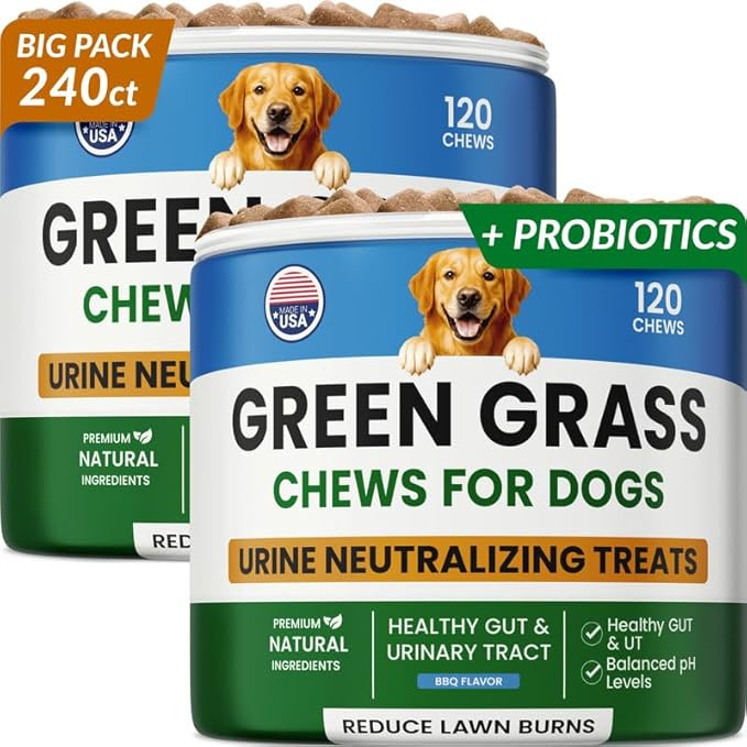 PAWFECTCHEW Green Grass Dog Chews with Probiotics – Lawn Burn Support – Dog Urine Neutralizer for Grass – Pee Spot Control – Gut & Urinary Health – 240Ct