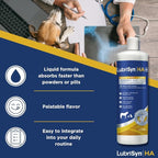 LubriSynHA Hyaluronic Acid with MSM Hip & Joint Care Supplement for Dogs, Cats & Horses – Liquid Oral HA for Pets – Joint Support Promotes Mobility, Flexibility, Cartilage Health & Comfort – 32oz