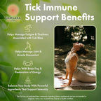 Samsara Herbs Tick Immune Support - Japanese Knotweed, Cats claw, Andrographis, Cryptolepis, Sarsaparilla, Resveratrol, Tick Bite Support 240 Capsules