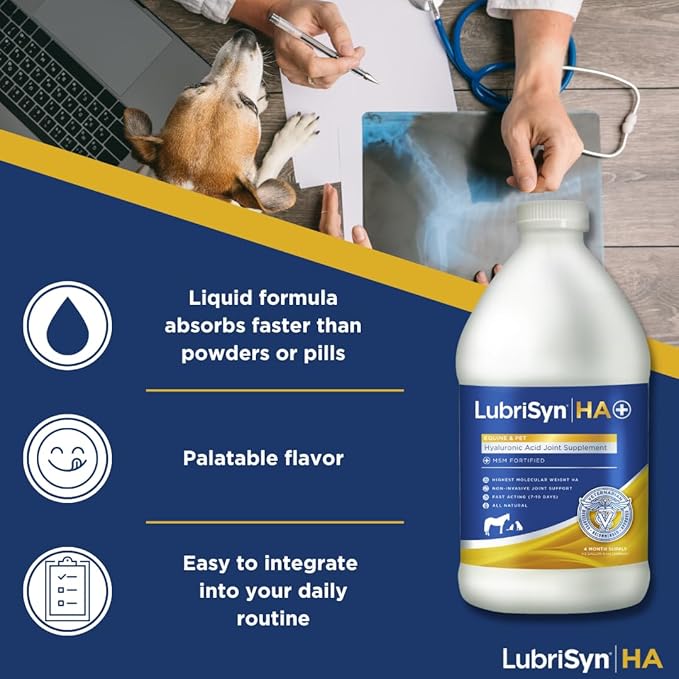 LubriSynHA Hyaluronic Acid with MSM Hip & Joint Care Supplement for Dogs, Cats & Horses – Liquid Oral HA for Pets – Joint Support Promotes Mobility, Flexibility, Cartilage Health & Comfort – 64oz