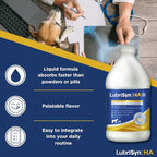 LubriSynHA Hyaluronic Acid with MSM Hip & Joint Care Supplement for Dogs, Cats & Horses – Liquid Oral HA for Pets – Joint Support Promotes Mobility, Flexibility, Cartilage Health & Comfort – 64oz