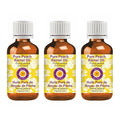 dève herbes Pure Peach Kernel Oil (Prunus persica) Cold Pressed (Pack of Three) 100ml X 3 (10 oz)