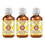 dève herbes Pure Peach Kernel Oil (Prunus persica) Cold Pressed (Pack of Three) 100ml X 3 (10 oz)