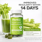 Herbal Gummies – Greens Gummies with Chlorophyll & Prebiotic Fiber for Adults, Digestive & Gut Health Support, Easy Daily Daily Wellness Support, Plant-Based Formula, 60 Count