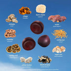 SUNMED All-in-One Mushroom Gummy Supplements for Focus, Energy, Mood & Immune Support – 10 Functional Mushrooms (Lion’s Mane, Reishi, Cordyceps, Chaga) | Wild Raspberry Flavor, 60ct