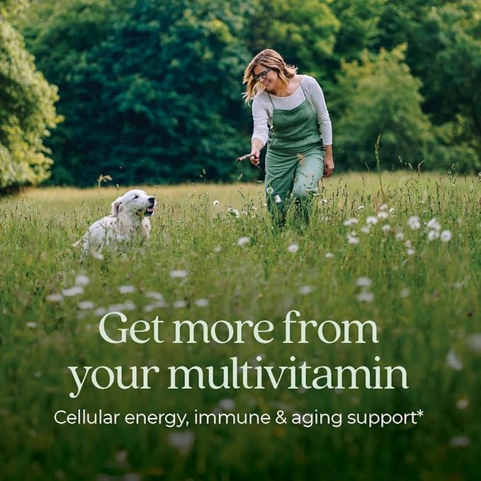 New Chapter Women’s Multivitamin 40+, Extra B6 & B12, Biotin for Hair Growth, D3, VIT C, Zinc for Immune & Stress Support, Gentle on an Empty Stomach, Non-GMO, Gluten-Free, 96 Tablets, (Pack of 2)