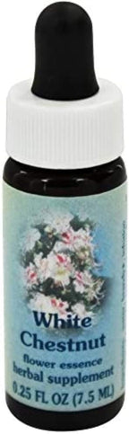 Flower Essence Services Supplement Dropper, White Chestnut, 0.25 Ounce
