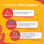 FIRST DAY Kids Probiotic Gummies - 3 in 1 Probiotics for Kids + Prebiotic & Postbiotic - Prebiotics & Probiotics for Digestive Health & Immune Support – Vegan, Gluten Free, 30-Day Supply