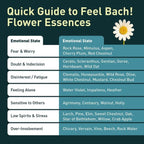 Feel Bach! Sweet Dreams #4 Remedy - Natural Homeopathic Flower Essences for Nighttime - Overcome Early Morning Wakeups - Vegan, Gluten & Sugar-Free, Non-Habit Forming, 20ml (0.7 fl oz)