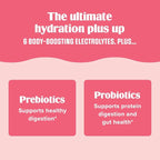 Ultima Replenisher Gut Health Supplement and Electrolytes Powder - Raspberry Lemonade, 14 Stickpacks - Hydration Packets with Added Gut Health Benefits