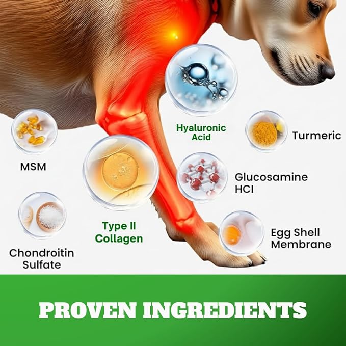 Dog Joint Supplement Chews with Glucosamine & MSM & Omega 3–Joint Support for Senior & Large Breed Dogs, Alternative for Longevity & Healthy Aging, Mobility Treatment & Flexibility with CoQ10-120 Ct