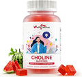 CDP Choline Supplement Gummies 550 mg: Citicoline Brain Supplement for Memory Focus Liver Health with DHA B12, High Potency Sugar Free Vegan Non GMO Watermelon Flavor 30 Days