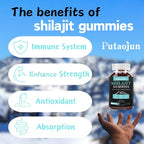 Shilajit for Man,Woman & Kid.Himalayan Gold Shilajit Gummies.1000mg Shilajit,200mg Ashwagandha,200mg Chaga,100mg Ginseng,100mg Saw Palmatto,60mg Black Seed Oil