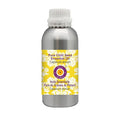 Deve Herbes Pure Chilli Seed Essential Oil (Capsicum annum) Steam Distilled 300ml (10 oz)