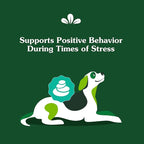 Greenies Supplements Calming Chews for Dogs Chicken Flavor, Dog Calming Chews, 14.7 oz. Container of 80 Count