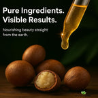 Pure Carrier and Essential Oils for Skin Care, Hair, Body Moisturizer for Face-Anti Aging Skin Care (Shea Nut Oil Organic, 4oz)