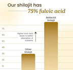 Better Alt Pure Himalayan Shilajit Resin Pack of 1 High Potency Gold Grade 75 Servings for Energy Boost & Immune Support, 85+ Trace Minerals, 75%+ Fulvic Acid, with Lab Test Report,400 mg