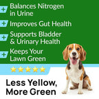 PAWFECTCHEW Dog Pee Grass Chews - Grass Treatment for Pet Urine - Neutralizer for Green Grass Burn Urine Spots - Green Lawn Chews for Dogs with Probiotics - Made in USA (120Ct)