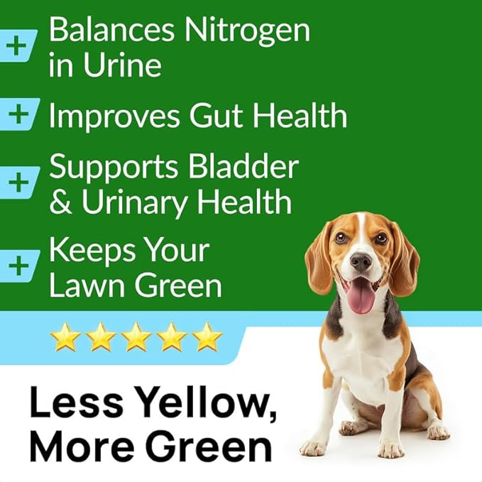 PAWFECTCHEW Green Grass Dog Chews with Probiotics – Lawn Burn Support – Dog Urine Neutralizer for Grass – Pee Spot Control – Gut & Urinary Health – 240Ct