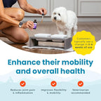 Paramount Pet Health Liquid Glucosamine for Small Dogs, 260mg Glucosamine Liquid for Dogs Joint Supplement for Mobility & Comfort, Easy-to-Use Liquid MSM & Chondroitin, 2 oz
