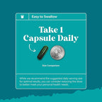 Chlorophyll Capsules for Cleanse and Detox Support - Internal Deodorant Pills for Body Odor with Mint & Parsley Extract Healthy Skin Immunity & Digestive Support - Vegan Non-GMO & Gluten Free (60ct)