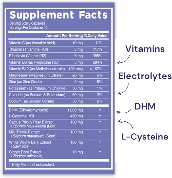 Blowfish Wingman | Supplement with DHM + L-Cysteine + Electrolytes | Feel Better After Drinking | Pre-Alcohol Liver Support & Hydration