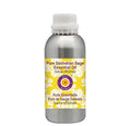 Deve Herbes Pure Dalmatian Sage Essential Oil (Salvia officinals) Steam Distilled 630ml (21 oz)