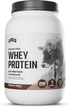 Levels Grass Fed Whey Protein Powder, No Artificials, 24G of Protein, Chocolate Mocha, 2LB