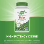 Nature's Way Kelp - Kelp Supplement for Thyroid Function Support* - Botanical Ingredients - Plant-Derived Capsule - Plant-sourced Iodine - Vegan, Gluten-Free & Dairy-Free - 180 Count (180 Servings)