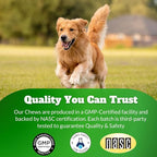 Dog Joint Supplement Chews with Glucosamine & MSM & Omega 3–Joint Support for Senior & Large Breed Dogs, Alternative for Longevity & Healthy Aging, Mobility Treatment & Flexibility with CoQ10-120 Ct